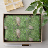 Papier Mousseline Tortue (Cadeau)