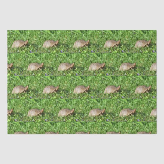 Papier Mousseline Tortue (Recto)