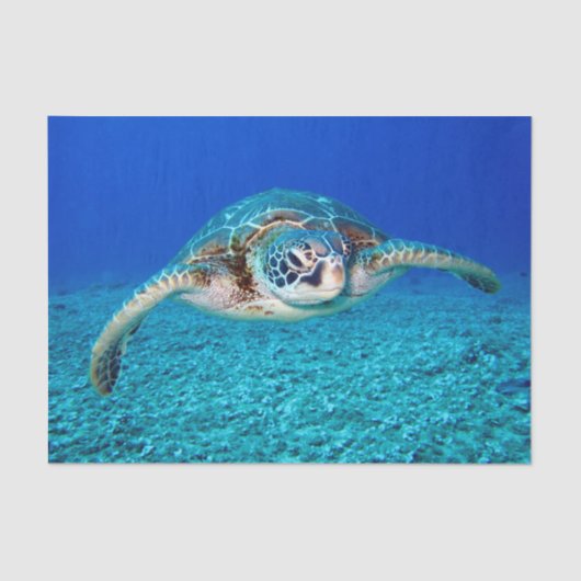 Papier Mousseline Tortue de mer de natation (Recto)