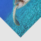 Papier Mousseline Tortue de mer de natation (Détail)