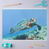 Papier Mousseline Tortue de mer verte (Artisanat)