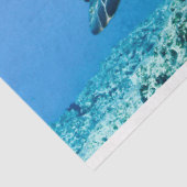 Papier Mousseline Tortue de mer verte (Détail)