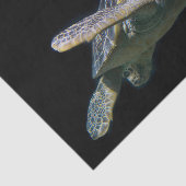 Papier Mousseline Tortue natation (Détail)