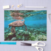 Papier Mousseline Tortue sous-marine tropicale (Artisanat)