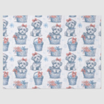 Toto, Assistant d'Oz