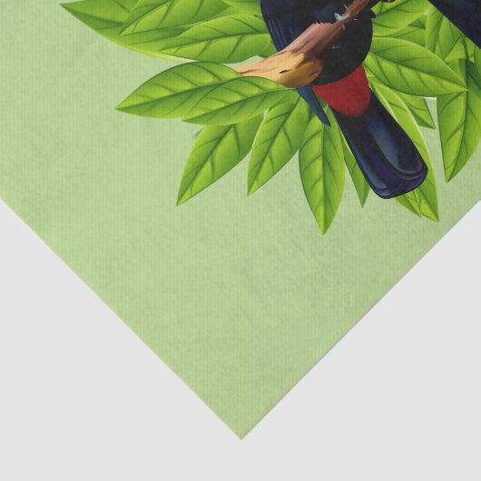 Papier Mousseline Toucan Duo Green (Détail)