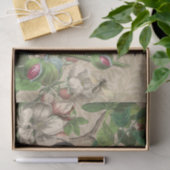 Papier Mousseline Toucan Jungle Tropical Bird Belle antique (Cadeau)