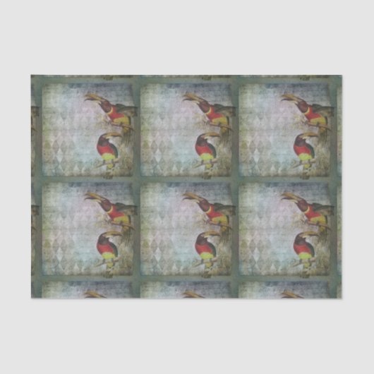 Papier Mousseline Toucan tropical (Recto)