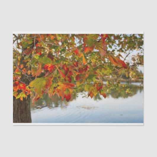 Papier Mousseline Tourner les Feuilles (Recto)
