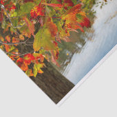 Papier Mousseline Tourner les Feuilles (Détail)