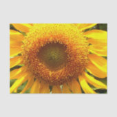 Papier Mousseline Tournesol de mammouth jaune géant (Recto)