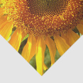 Papier Mousseline Tournesol de mammouth jaune géant (Détail)