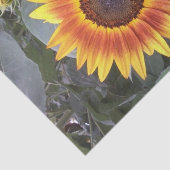Papier Mousseline Tournesol doré (Détail)