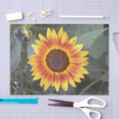 Papier Mousseline Tournesol doré (Artisanat)