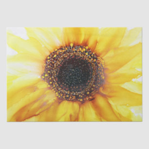 Papier Mousseline Tournesol jaune