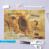 Papier Mousseline Tournesol Jaune Belle campagne Ephémère Script (Artisanat)