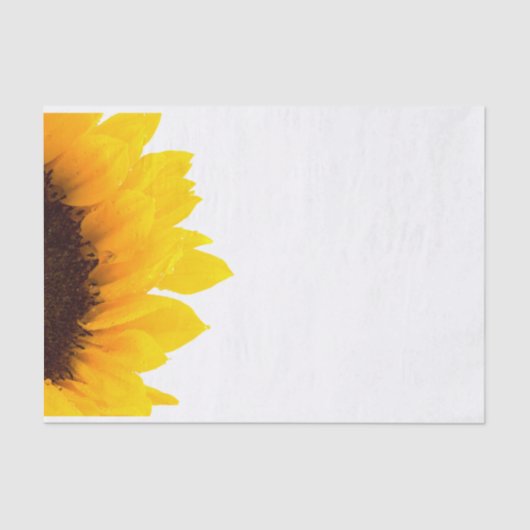 Papier Mousseline Tournesol jaune et Brown blanc (Recto)