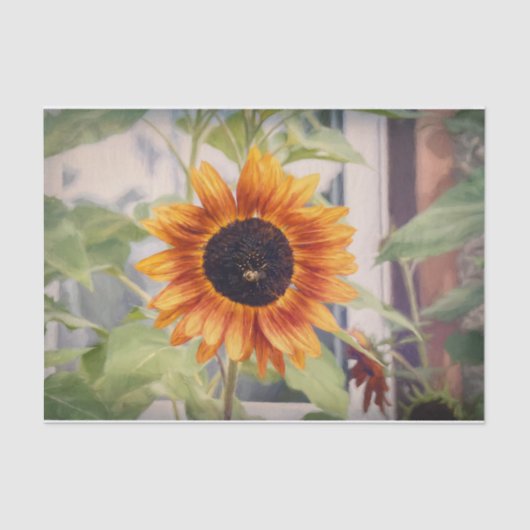 Papier Mousseline Tournesol Jaune Orange Jardin d'abeilles Découpage (Recto)