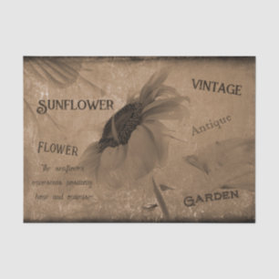 Papier Mousseline Tournesol Sépia Brun Vintage Antiquité Ephemera