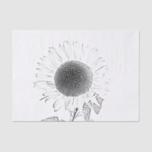 Papier Mousseline Tournesol Unique Croquis Vintage Noir Et Blanc
