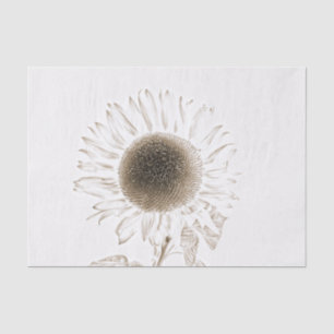 Papier Mousseline Tournesol Unique Vintage Antique Dessin au Sepia A