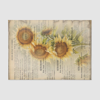 Papier Mousseline Tournesol vintage IV