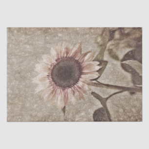 Papier Mousseline Tournesol Vintage Sepia Texture russe rose Brown
