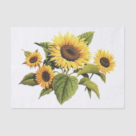 Papier Mousseline Tournesols (Recto)