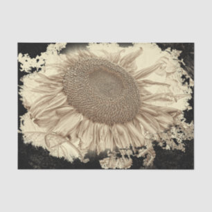 Papier Mousseline Tournesols géants Vignette noire Sépia vintage