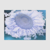 Tournesols Géants Vintage Vignette Bleu Violet