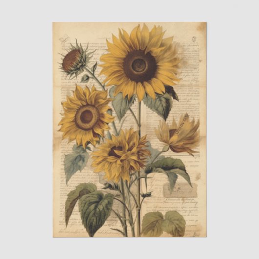 Papier Mousseline Tournesols Vifs et Écriture Vintage (Recto)