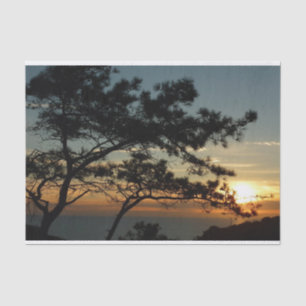 Papier Mousseline Tourrey Pine Sunset I California Paysage