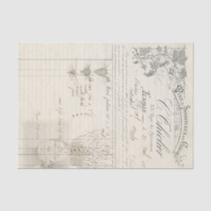 Papier Mousseline Toute la racine de elle