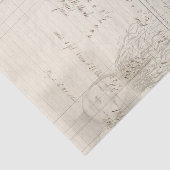 Papier Mousseline Toute la racine de elle (Détail)