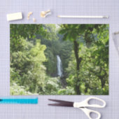 Papier Mousseline Trafalgar Falls Tropical Rainforest Photographie (Artisanat)