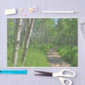 Papier Mousseline Trail Trough Aspens (Artisanat)