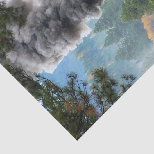 Papier Mousseline Train 19 (Détail)