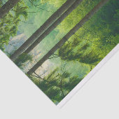 Papier Mousseline Traversée magique de forêt verte arbres brouillard (Détail)