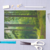 Papier Mousseline Traversée magique de forêt verte arbres brouillard (Artisanat)