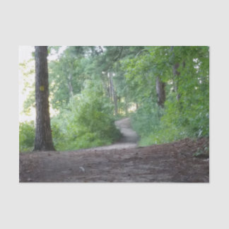 Papier Mousseline Traverser une forêt