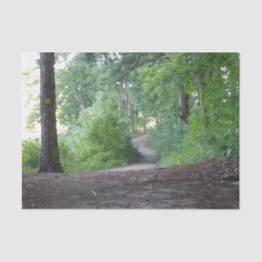 Papier Mousseline Traverser une forêt (Recto)