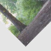 Papier Mousseline Traverser une forêt (Détail)