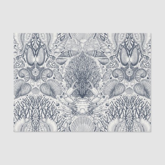 Papier Mousseline Trésors de plage, coquillages, crabes, coraux et s (Recto)