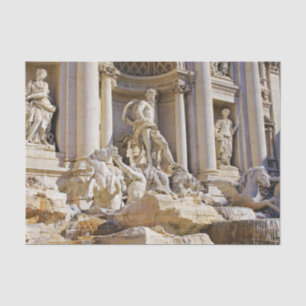 Papier Mousseline Trevi fountain
