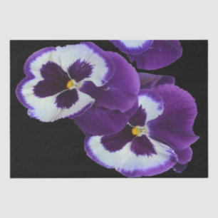 Papier Mousseline Trio de fleurs de sansy blanc pourpre : Natures Ha