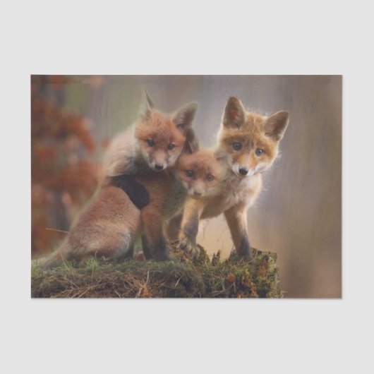 Papier Mousseline Triplets Foxy (Recto)
