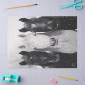 Papier Mousseline Trois chevaux dans la découpage de neige (Artisanat)