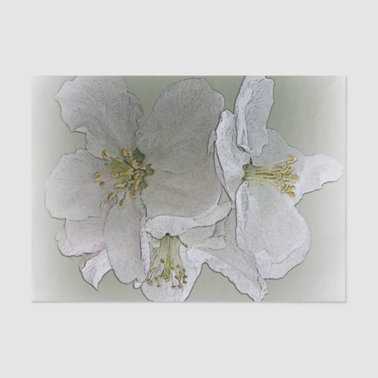 Papier Mousseline trois fleurs blanches (Recto)