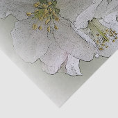 Papier Mousseline trois fleurs blanches (Détail)