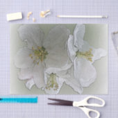 Papier Mousseline trois fleurs blanches (Artisanat)